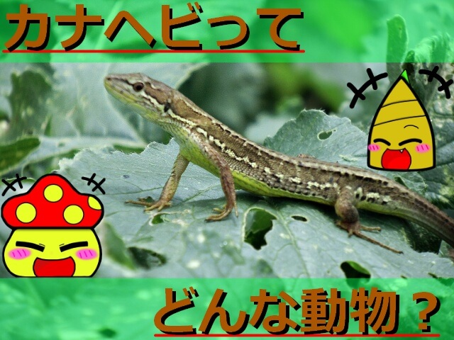 Thumbnail of post image 033